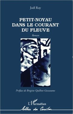 Petit-Noyau dans le courant du fleuve (eBook, PDF) - Roy