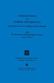 Collected Courses of the Academy of European Law 1996 vol. VII - 2 (eBook, PDF) Collected Courses of the Academy of European Law 1996 vol. VII - 2 (eBook, PDF)