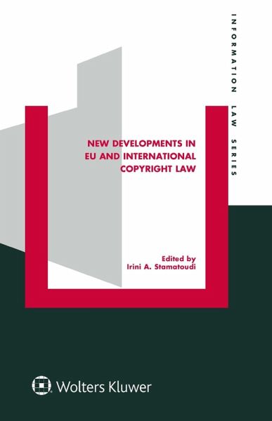 New Developments in EU and International Copyright Law (eBook, PDF)