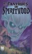 Le fantôme de Spiritwood (eBook, ePUB) - Bild 1