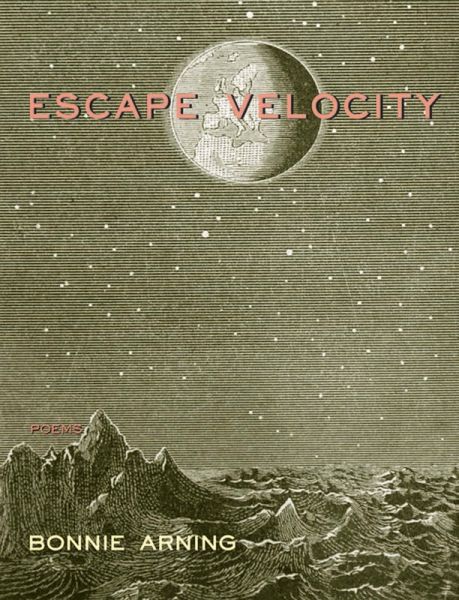 Escape Velocity (eBook, ePUB)