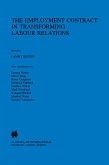 Employment Contract in Transforming Labour Relations (eBook, PDF)