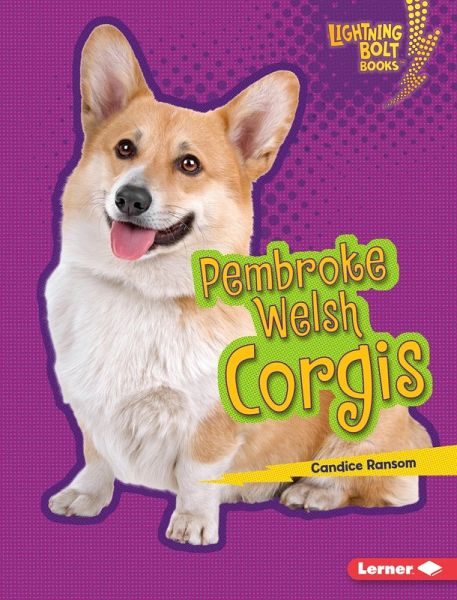 Pembroke Welsh Corgis (eBook, ePUB)
