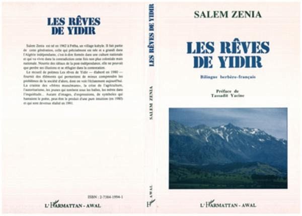 Rêves de Yidir (eBook, PDF)