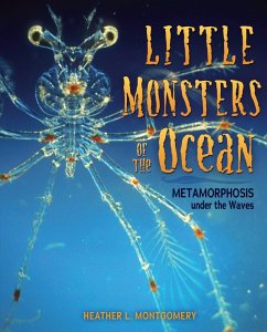 Little Monsters of the Ocean (eBook, ePUB) - Montgomery, Heather L.