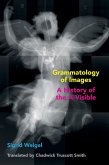 Grammatology of Images (eBook, ePUB)