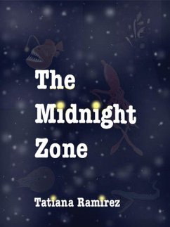 Cover Midnight Zone (eBook, ePUB)