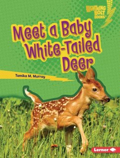 Cover Meet a Baby White-Tailed Deer (eBook, PDF)