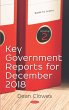Key Government Reports. Volume 2:... - Bild 1