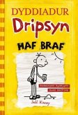 Dyddiadur Dripsyn: Haf Braf (eBook, PDF)