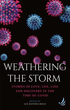 Weathering the Storm (eBook, ePUB)