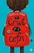 Crwt yn y Cefn, Y (eBook, ePUB) - Bild 1