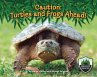 Caution: Turtles and Frogs Ahead!... - Bild 1