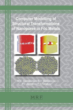 Computer Modelling of Structural Transformations of Nanopores in Fcc Metals (eBook, PDF)