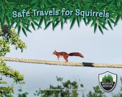 Safe Travels for Squirrels (eBook, PDF) - Bonneau, Maxime