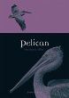 Pelican (eBook, ePUB) - Bild 1