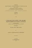 Catalogue of Coptic and Arabic Manuscripts in Dayr al-Suryan. Volume 4 (eBook, PDF)