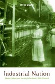 Industrial Nation (eBook, PDF)