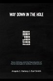 Way Down in the Hole (eBook, ePUB) Way Down in the Hole (eBook, ePUB)
