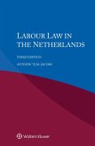 Labour Law in the Netherlands (eBook, PDF)