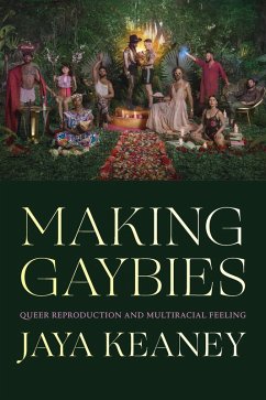 Cover Making Gaybies (eBook, PDF)