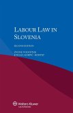 Labour Law in Slovenia (eBook, PDF)