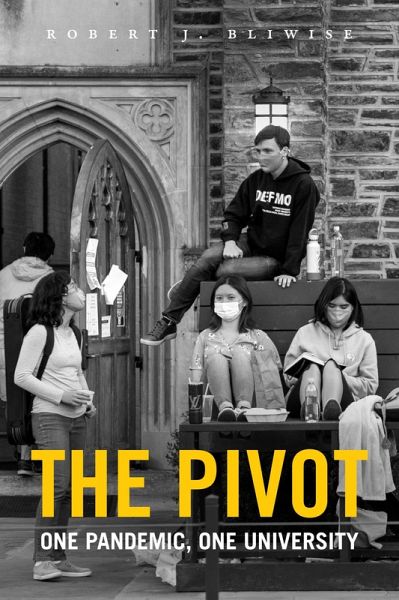 Pivot (eBook, PDF) Pivot (eBook, PDF)