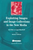 Exploiting Images and Image Collections in the New Media (eBook, PDF)