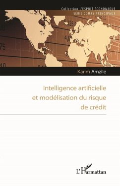 Intelligence artificielle et modélisation du risque de crédit (eBook, PDF) - Amzile