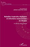 Maladies tropicales négligées et infections nosocomiales en Afrique (eBook, ePUB)