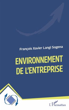 Cover Environnement de l'entreprise (eBook, PDF)