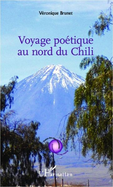 Voyage poétique au nord du Chili (eBook, PDF)
