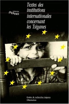 Cover TEXTES DES INSTITUTIONS INTERNATIONALES CONCERNANT LES TSIGANE (eBook, PDF)