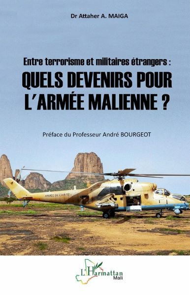 Entre terrorisme et militaires étrangers : (eBook, PDF)