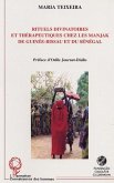 RITUELS DIVINATOIRES ET THÉRAPEUTIQUES CHEZ LES MANJAK DE GUINÉE-BISSAU ET DU SÉNÉGAL (eBook, PDF)