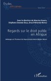 Regards sur le droit public en Afrique (eBook, PDF)