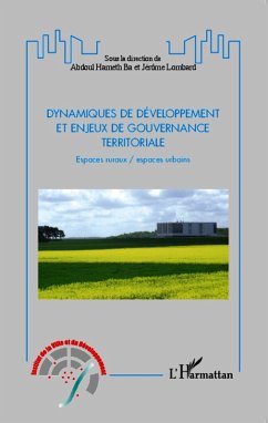 Cover Dynamiques de développement et enjeux de gouvernance territoriale (eBook, PDF)