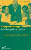L'APPRENTISSAGE DANS L'ENSEIGNEMENT SUPÉRIEUR (eBook, PDF)