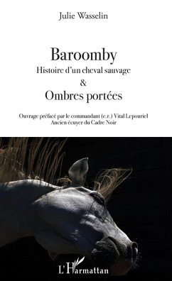 Cover Baroomby (eBook, PDF)