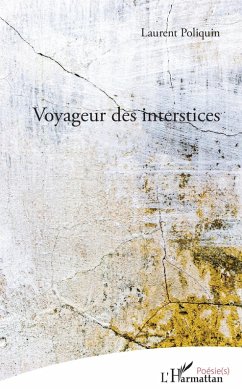 Cover Voyageur des interstices (eBook, PDF)