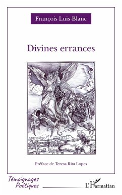Cover Divines errances (eBook, PDF)