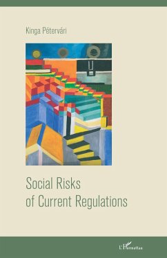 Cover Social Risks of Current Regulations (eBook, PDF)