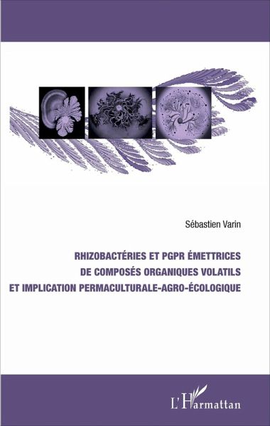 Rhizobactéries et PGPR émettrices de composés organiques volatils et implication permaculturale-agro-écologique (eBook, PDF)