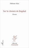 Sur le chemin de Bagdad (eBook, PDF)