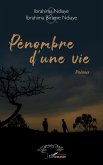 Pénombre d'une vie (eBook, PDF)
