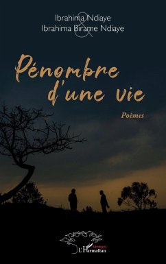 Pénombre d'une vie (eBook, PDF) - Ndiaye