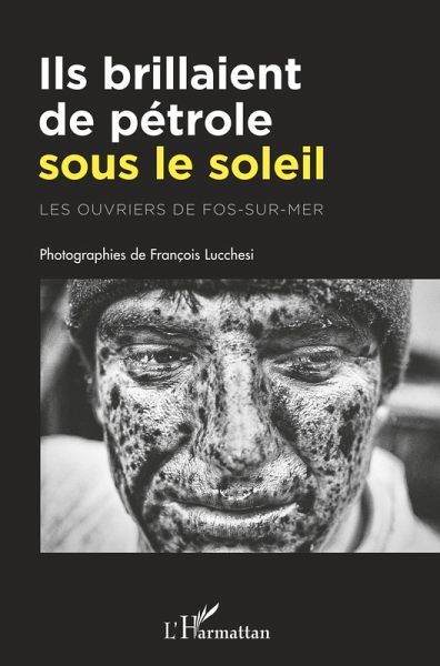 Ils brillaient de pétrole sous le soleil (eBook, PDF)