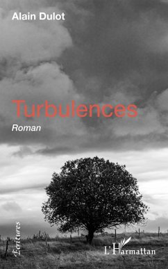 Turbulences (eBook, PDF) - Dulot