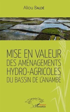 Cover Mise en valeur des aménagements hydro-agricoles du bassin de l'Anambé (eBook, PDF)