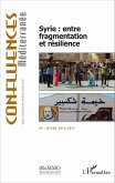 Syrie : entre fragmentation et résilience (eBook, PDF)